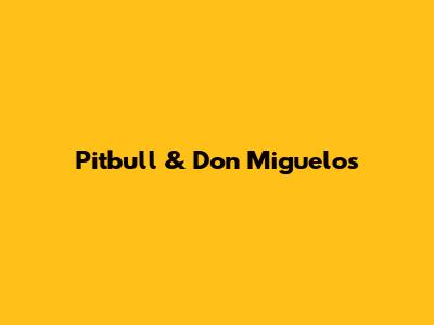 Pitbull & Don Miguelo's 