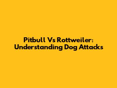 Pitbull Vs Rottweiler: Understanding Dog Attacks