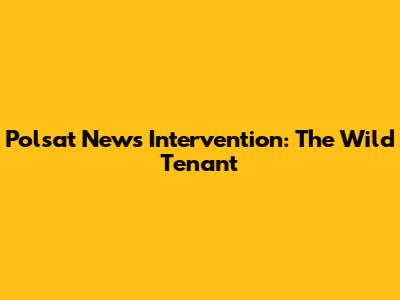 Polsat News Intervention: The Wild Tenant