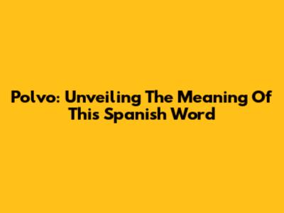 Polvo: Unveiling The Meaning Of This Spanish Word