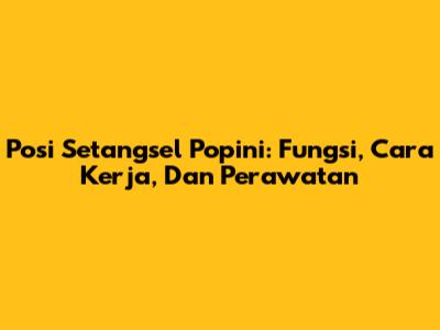 Posi Setangsel Popini: Fungsi, Cara Kerja, Dan Perawatan
