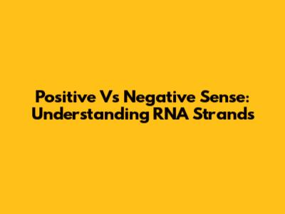 Positive Vs Negative Sense: Understanding RNA Strands