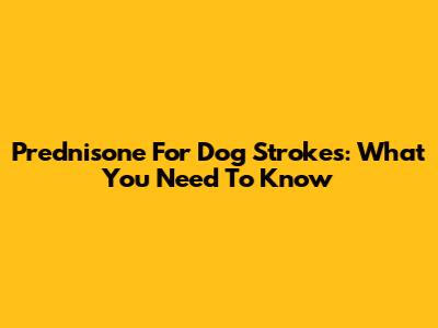 Prednisone For Dog Strokes: What You Need To Know