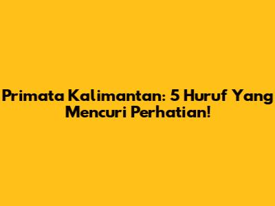 Primata Kalimantan: 5 Huruf Yang Mencuri Perhatian!