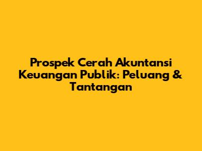 Prospek Cerah Akuntansi Keuangan Publik: Peluang & Tantangan