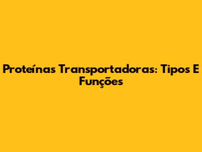 Proteínas Transportadoras: Tipos E Funções