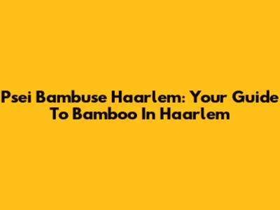 Psei Bambuse Haarlem: Your Guide To Bamboo In Haarlem