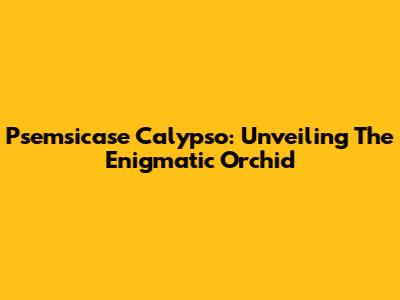 Psemsicase Calypso: Unveiling The Enigmatic Orchid