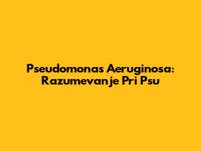 Pseudomonas Aeruginosa: Razumevanje Pri Psu