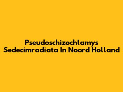 Pseudoschizochlamys Sedecimradiata In Noord Holland