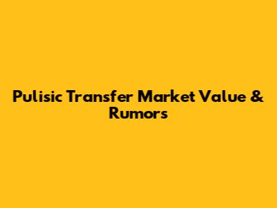 Pulisic Transfer Market Value & Rumors