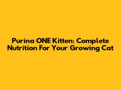 Purina ONE Kitten: Complete Nutrition For Your Growing Cat