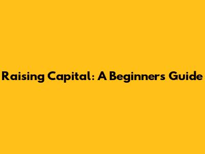 Raising Capital: A Beginner's Guide