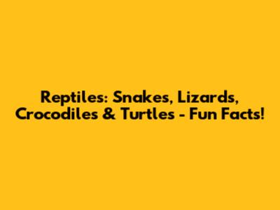 Reptiles: Snakes, Lizards, Crocodiles & Turtles - Fun Facts!