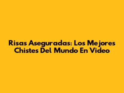 Risas Aseguradas: Los Mejores Chistes Del Mundo En Video