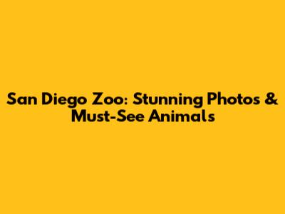 San Diego Zoo: Stunning Photos & Must-See Animals