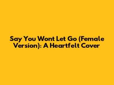 Say You Won't Let Go (Female Version): A Heartfelt Cover