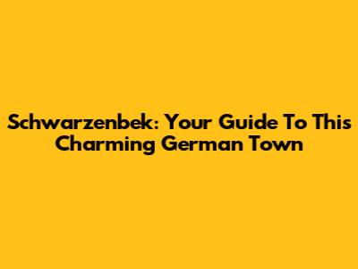 Schwarzenbek: Your Guide To This Charming German Town