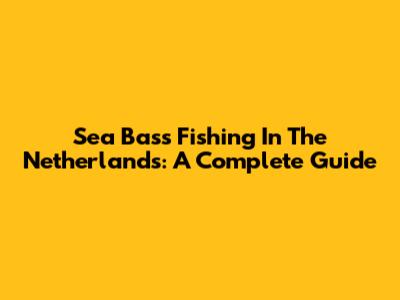 Sea Bass Fishing In The Netherlands: A Complete Guide