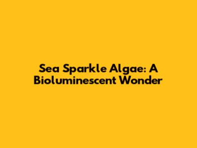 Sea Sparkle Algae: A Bioluminescent Wonder