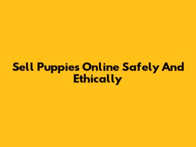 Sell Puppies Online Safely And Ethically