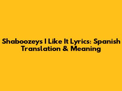 Shaboozey's 'I Like It' Lyrics: Spanish Translation & Meaning