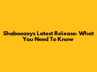 Shaboozey's Latest Release: What You Need To Know