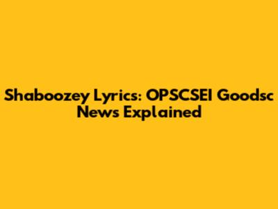 Shaboozey Lyrics: OPSCSEI Goodsc News Explained