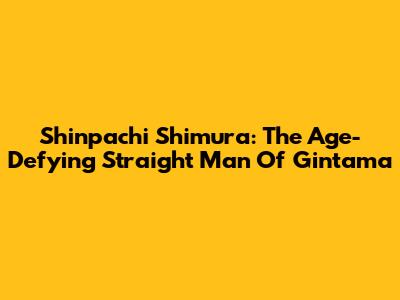 Shinpachi Shimura: The Age-Defying Straight Man Of Gintama
