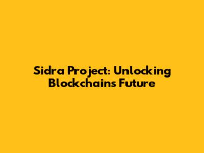 Sidra Project: Unlocking Blockchain's Future
