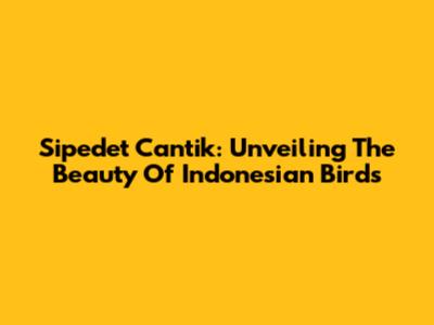Sipedet Cantik: Unveiling The Beauty Of Indonesian Birds
