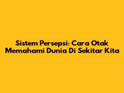 Sistem Persepsi: Cara Otak Memahami Dunia Di Sekitar Kita
