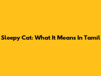 Sleepy Cat: What It Means In Tamil