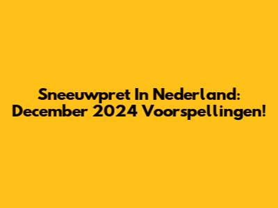 Sneeuwpret In Nederland: December 2024 Voorspellingen!