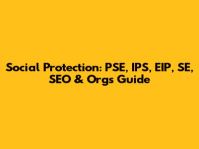 Social Protection: PSE, IPS, EIP, SE, SEO & Orgs Guide