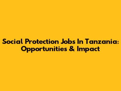 Social Protection Jobs In Tanzania: Opportunities & Impact