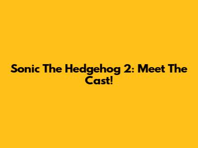 Sonic The Hedgehog 2: Meet The Cast!