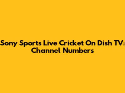 Sony Sports Live Cricket On Dish TV: Channel Numbers