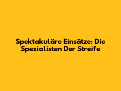 Spektakuläre Einsätze: Die Spezialisten Der Streife