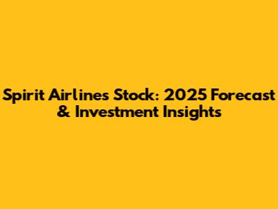 Spirit Airlines Stock: 2025 Forecast & Investment Insights