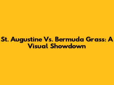 St. Augustine Vs. Bermuda Grass: A Visual Showdown