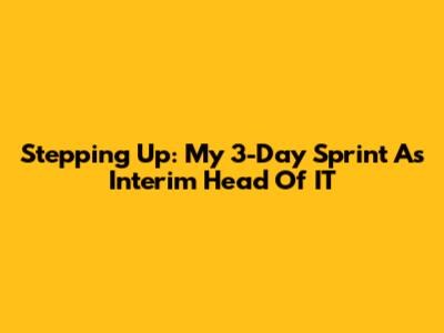 Stepping Up: My 3-Day Sprint As Interim Head Of IT