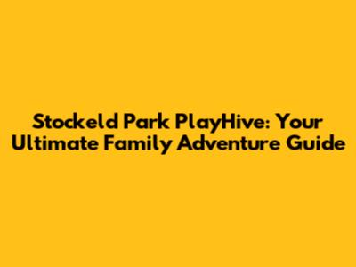 Stockeld Park PlayHive: Your Ultimate Family Adventure Guide