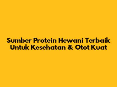 Sumber Protein Hewani Terbaik Untuk Kesehatan & Otot Kuat