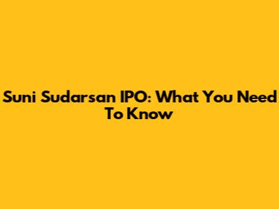 Suni Sudarsan IPO: What You Need To Know