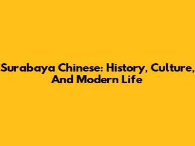 Surabaya Chinese: History, Culture, And Modern Life