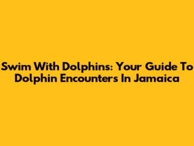 Swim With Dolphins: Your Guide To Dolphin Encounters In Jamaica