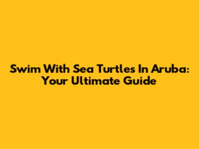 Swim With Sea Turtles In Aruba: Your Ultimate Guide