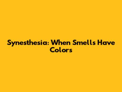 Synesthesia: When Smells Have Colors