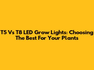 T5 Vs T8 LED Grow Lights: Choosing The Best For Your Plants